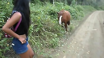 El Sitio De La Adolescente Tailandesa Heatherdeep Presenta Un Video Sudamericano De Sexo Equino Y Corrida