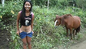 Asian Woman Heather Deep Loves Huge Horse Cock And Squirts With Pleasure