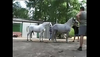 Nana Au Gros Cul Prend Un Groupe Dans Une Orgie Anale